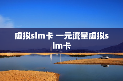 虛擬SIM卡與一元流量 網(wǎng)絡(luò)技術(shù)服務(wù)的創(chuàng)新與未來